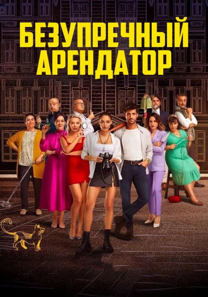 Идеальный арендатор турецкий сериал